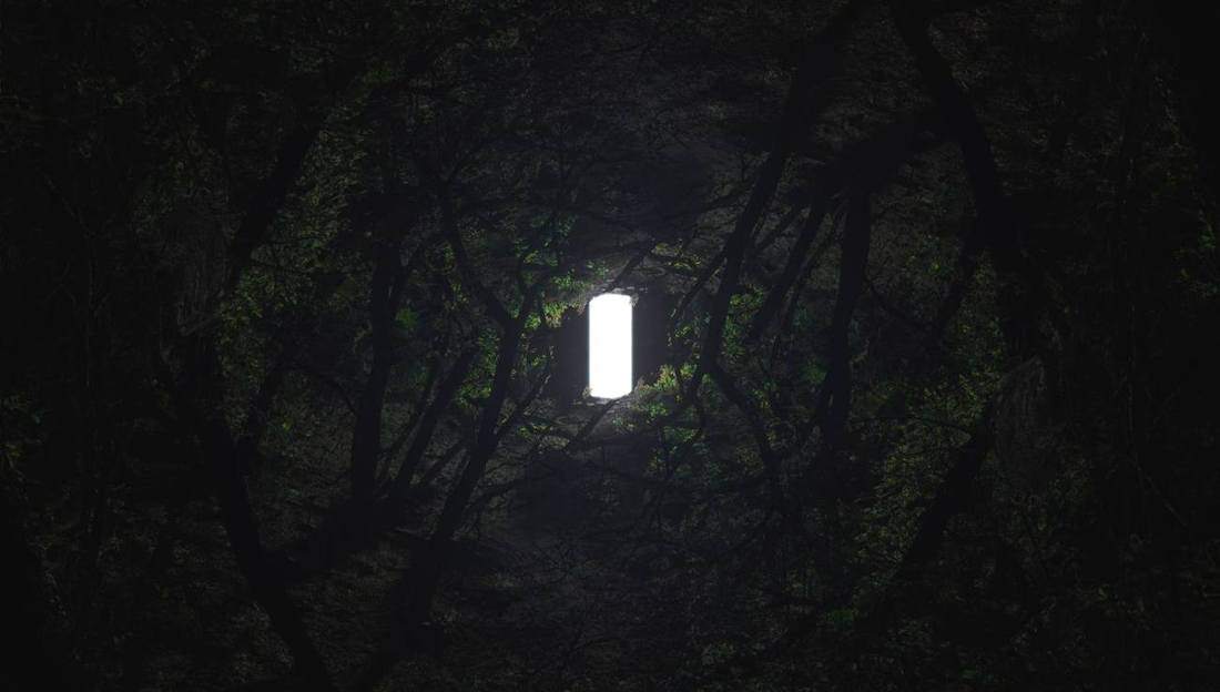 Lodestar — in the forest