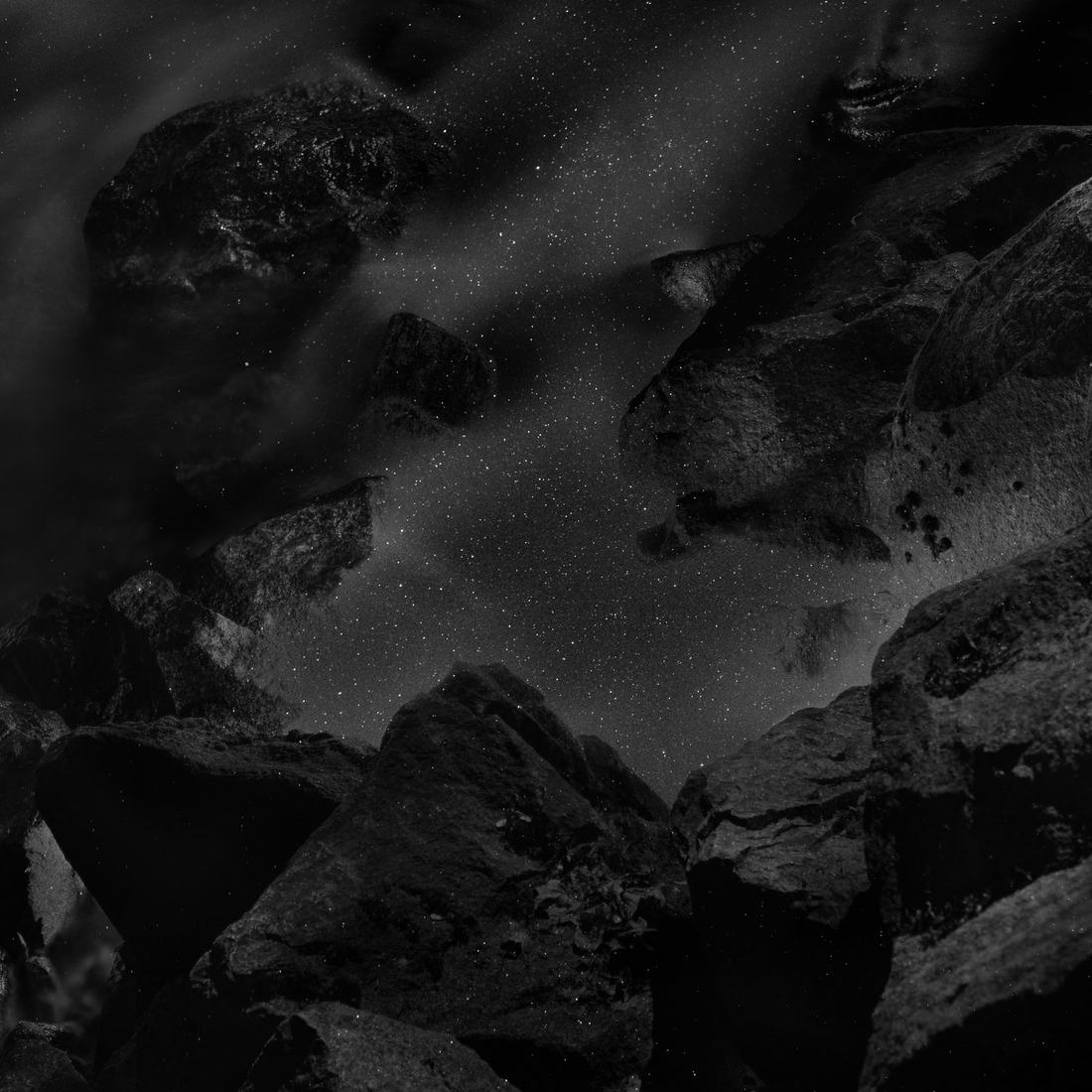River Voices — riverbank